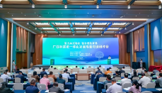 ��������ȫ���ֽ�ֽ��ҵ�ߵ�